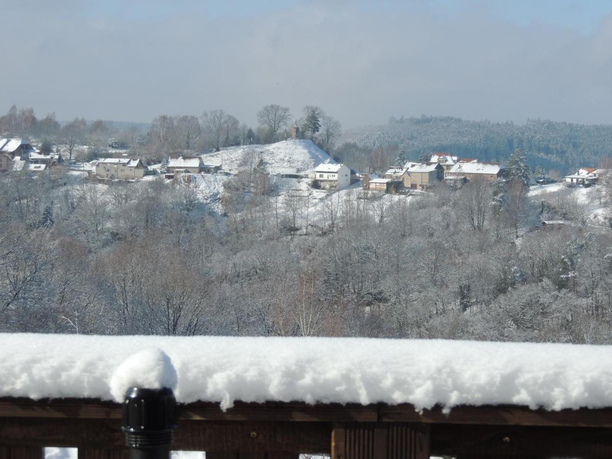 Au Chalet Bain Nordique neuf indépendant calme assuré Haselbourg Extérieur photo