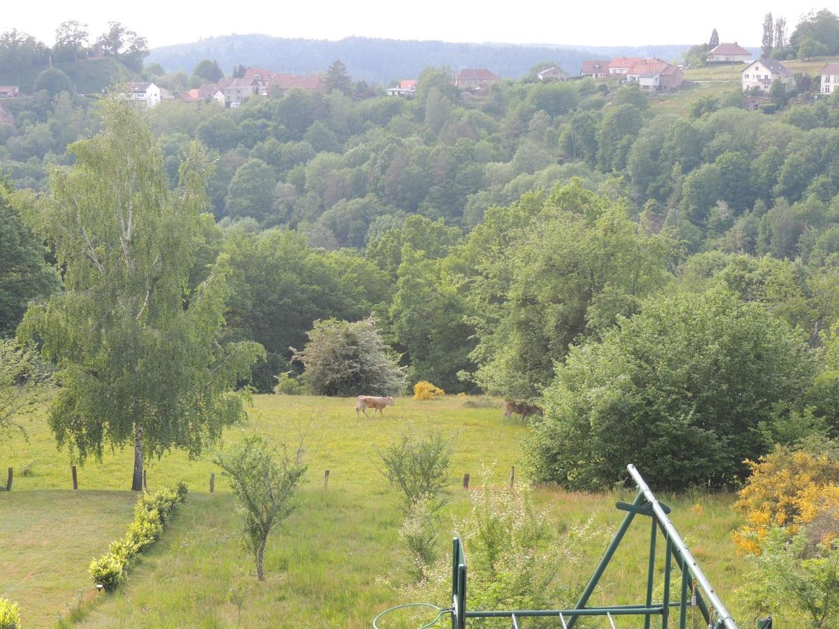 Au Chalet Bain Nordique neuf indépendant calme assuré Haselbourg Extérieur photo